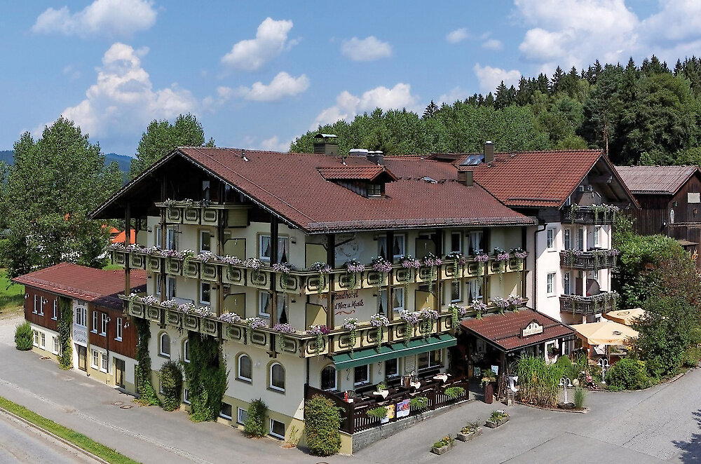 Hotel Zum Singenden Musikantenwirt